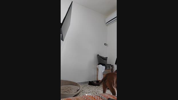 Lurio  10-07-2023 Recorded Video Download