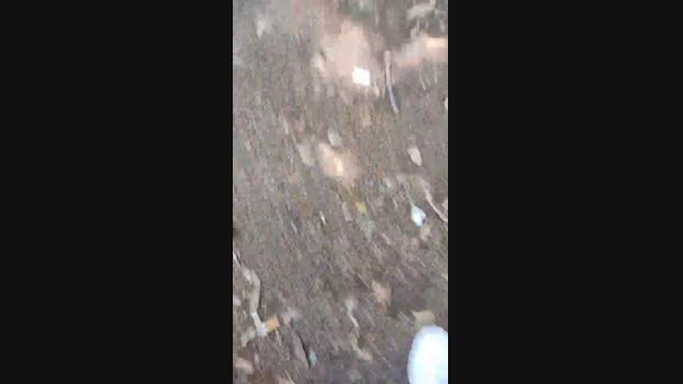 Fragolone4  11-07-2023 Recorded Video nasty