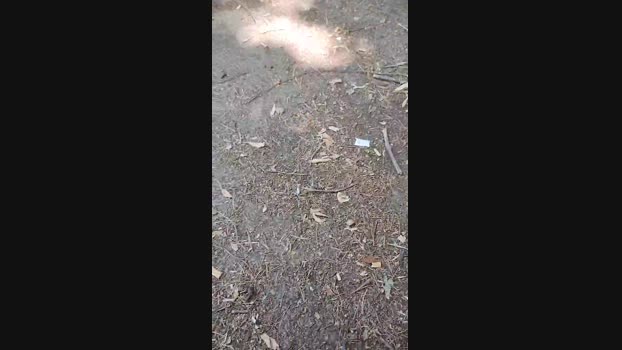 Fragolone4  11-07-2023 Recorded Video fuckhard