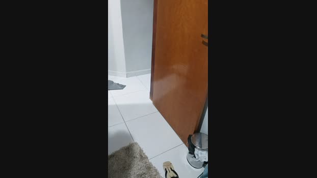 Petreli  10-07-2023 Recorded Video Ass