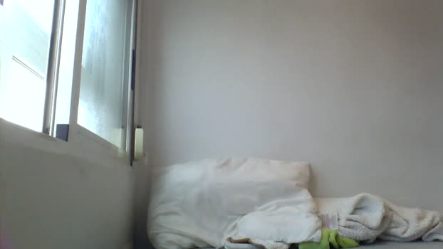 jeison143  11-07-2023 Recorded Video prettyface