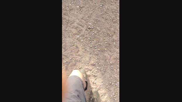 jodido21  10-07-2023 Recorded Video toy