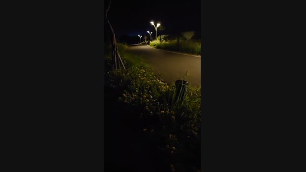 lin308901  11-07-2023 Recorded Video fuckface
