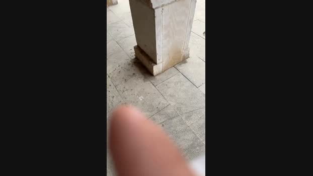 jeison143  11-07-2023 Recorded Video Pretty