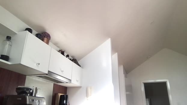 mansaf686  11-07-2023 Recorded Video fingers
