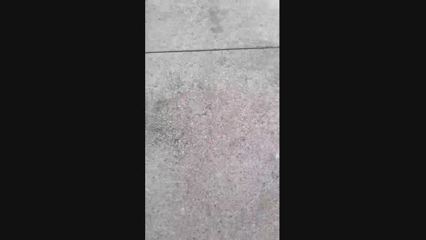 Ananin  14-07-2023 Recorded Video Pretty