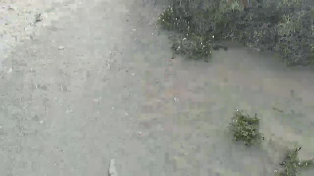 Pabloysebas  13-07-2023 Recorded Video fuckhard