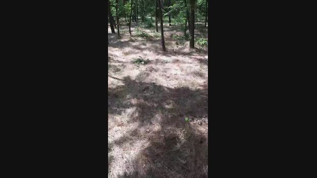 faraon47  14-07-2023 Recorded Video juicy