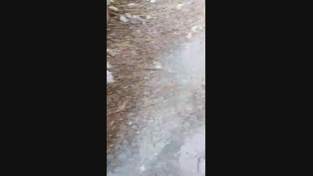 pathpeter  13-07-2023 Recorded Video sweet
