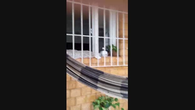 recoblue22cm  14-07-2023 Recorded Video Cam