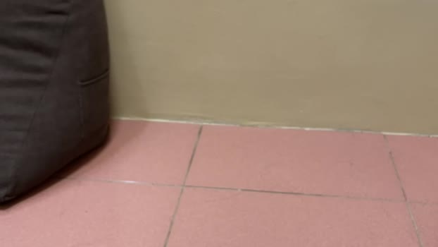tw_toy  13-07-2023 Recorded Video Recorded
