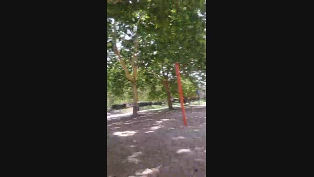 Enlacalle247  17-07-2023 Recorded Video orgasm