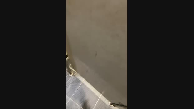 Foxfox07  17-07-2023 Recorded Video toys