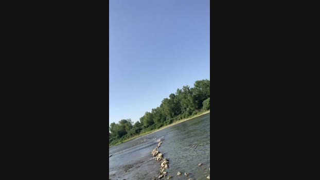 Frankofranky  17-07-2023 Recorded Video suckcock