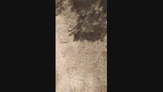 joven_cito_04  17-07-2023 Recorded Video playtime