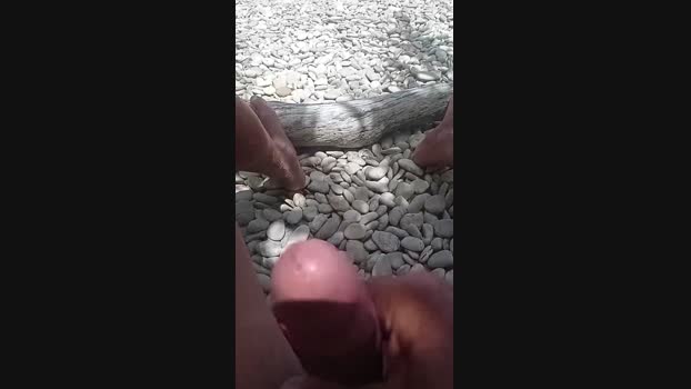 lovetrans111  17-07-2023 Recorded Video bigtoys