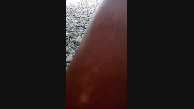 lovetrans111  17-07-2023 Recorded Video ass