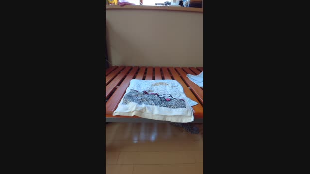 t_ky_TARO  16-07-2023 Recorded Video juicy