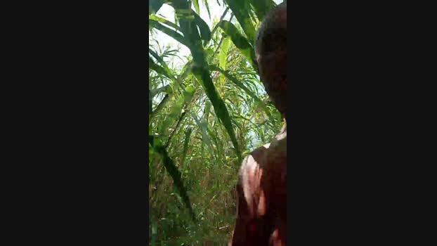 lovetrans111  18-07-2023 Recorded Video show