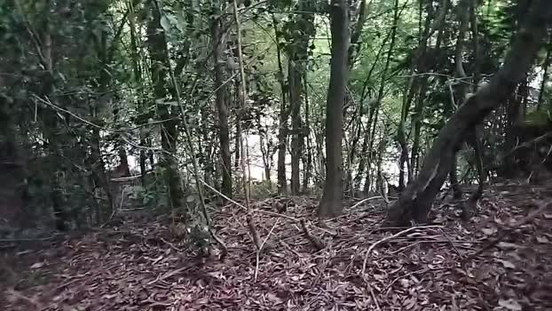 Guylikesit3  18-07-2023 Recorded Video harddick