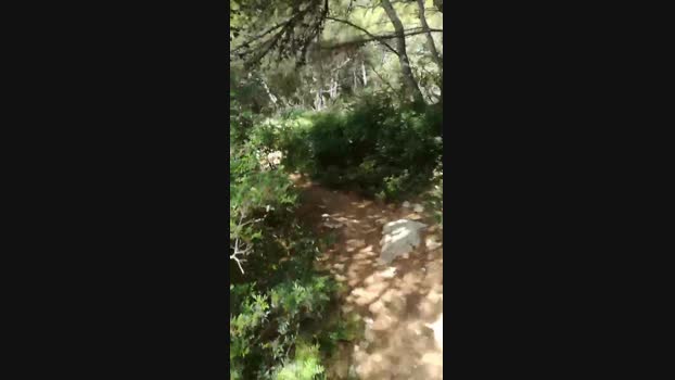 RaHa6  19-07-2023 Recorded Video fingers