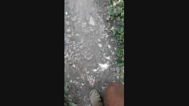 exhibius  19-07-2023 Recorded Video harddick