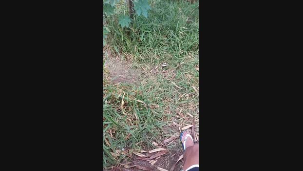 jao_magrao  18-07-2023 Recorded Video spank