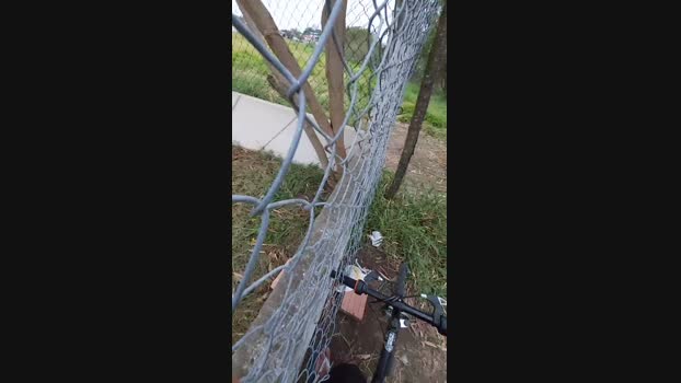 jao_magrao  18-07-2023 Recorded Video bigcock