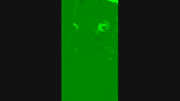 Dotado2003  19-07-2023 Recorded Video beauty