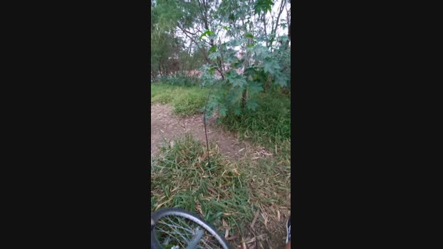 jao_magrao  19-07-2023 Recorded Video nude
