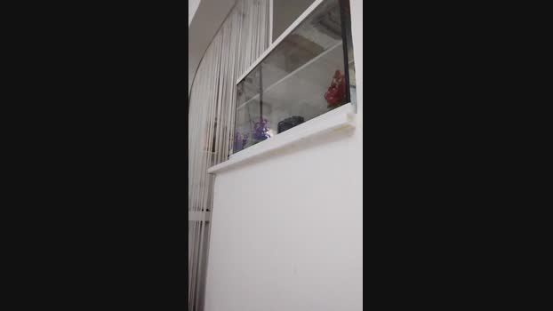 Viki84  21-07-2023 Recorded Video kinky