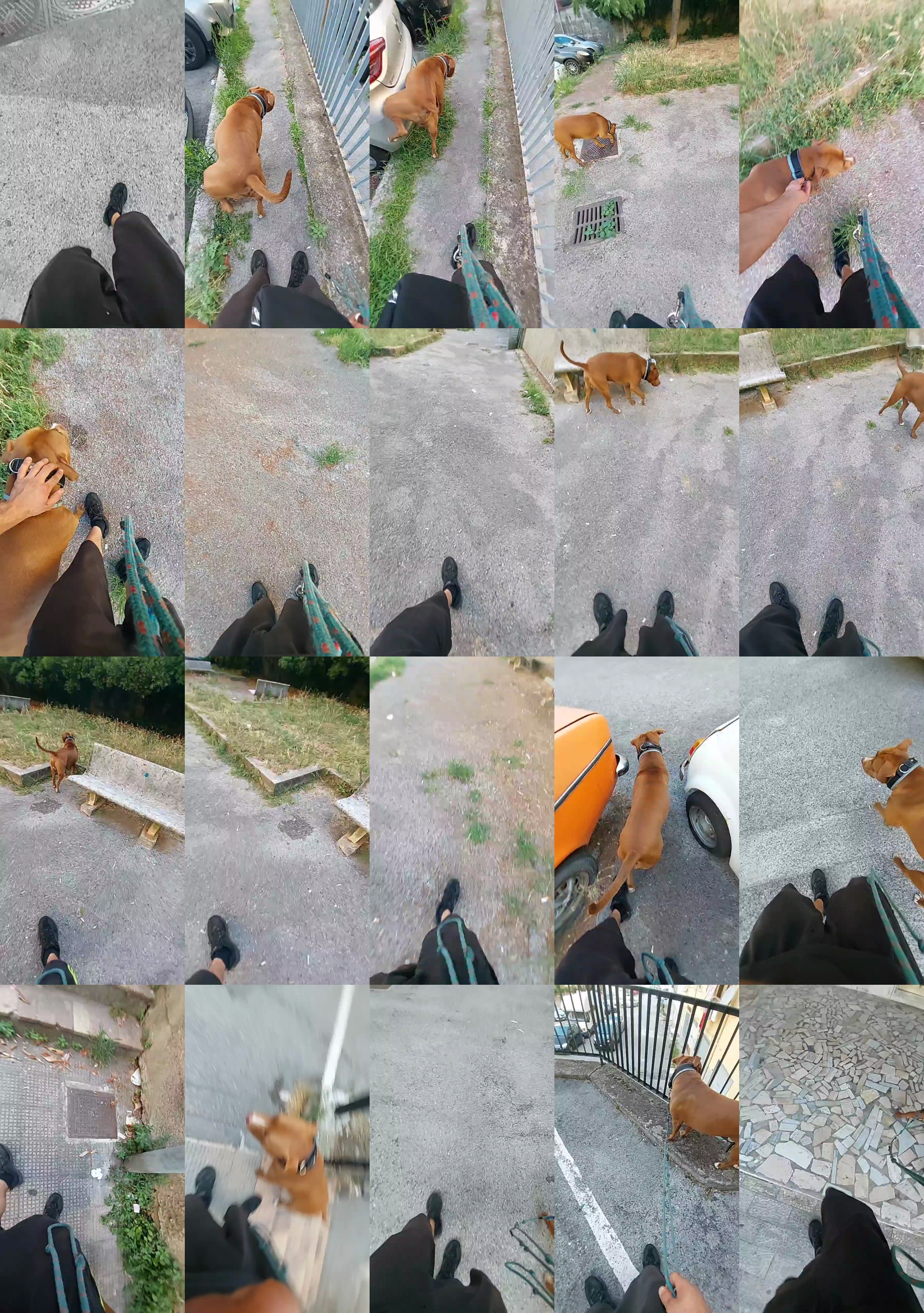 Lurio  21-07-2023 Recorded Video Ass