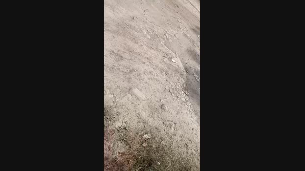 Gastea1  23-07-2023 Recorded Video Video