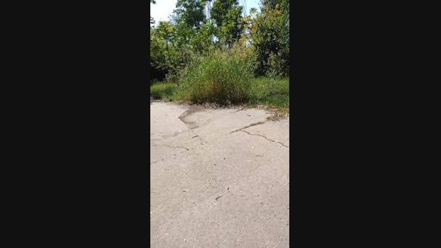 bisa52  23-07-2023 Recorded Video bigass