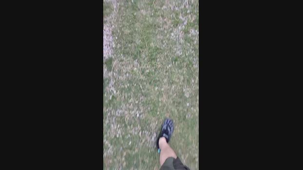 paperman_tp  23-07-2023 Recorded Video toy