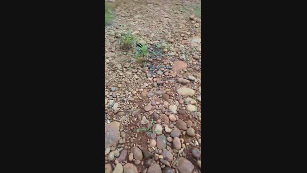 tarcton78  23-07-2023 Recorded Video sex