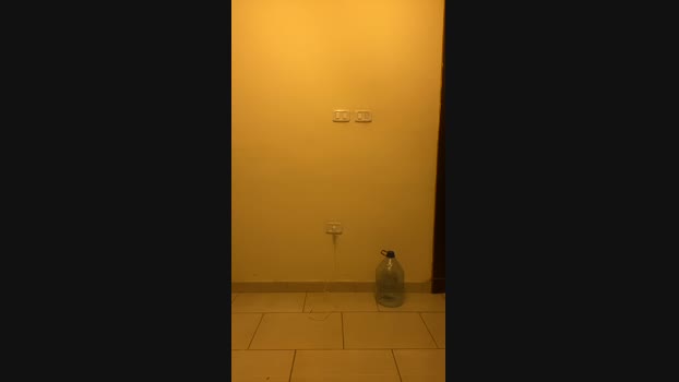 Bighugger88  23-07-2023 Recorded Video jerkoff