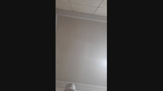 Luizsex1  23-07-2023 Recorded Video bigballs