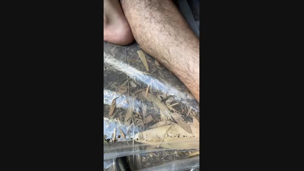 simon_and_dav1d  23-07-2023 Recorded Video fingering
