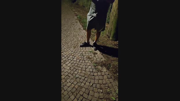 Looper72  25-07-2023 Recorded Video beautiful