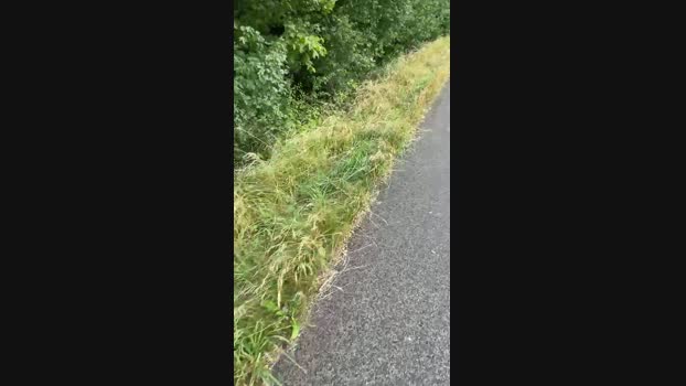 79erMicha  27-07-2023 Recorded Video fuckme