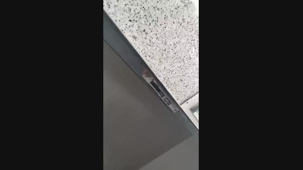 Ttiiittooo  27-07-2023 Recorded Video suck