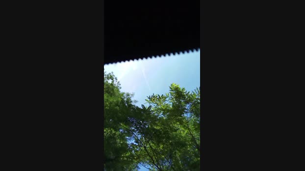 20goodreason20  28-07-2023 Recorded Video gag