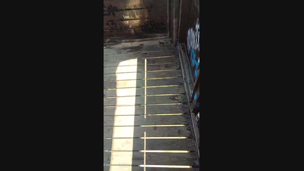 6Q87  28-07-2023 Recorded Video Video