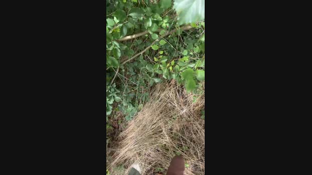 yousseeef_23  28-07-2023 Recorded Video fingering