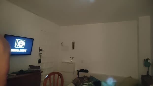 Cumandfun7  28-07-2023 Recorded Video ass
