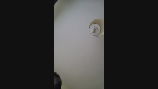 duf83  28-07-2023 Recorded Video jerkoff