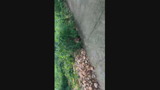 ILOVE55688  30-07-2023 Recorded Video hard