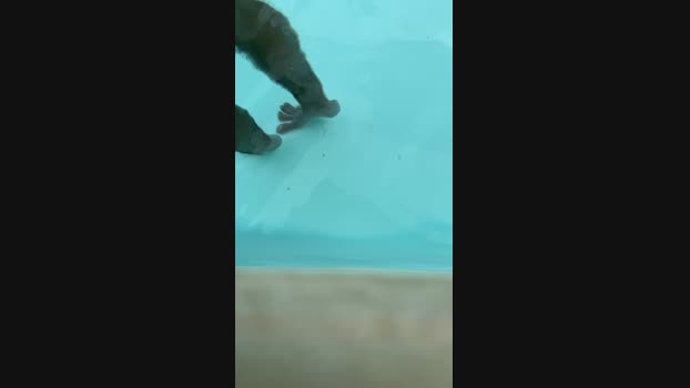 hugohotbi  29-07-2023 Recorded Video sex