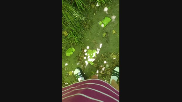 Minipic  31-07-2023 Recorded Video amateur